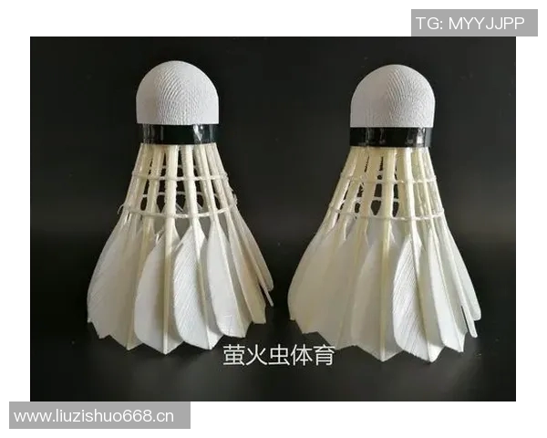 黄敏独家分享羽毛球技巧与心得助你提升球技的秘密武器