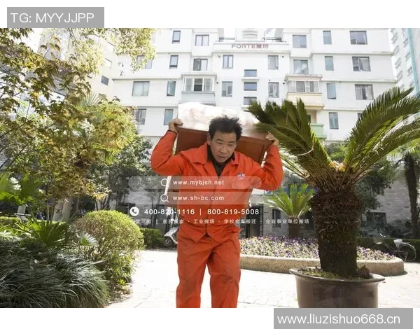 便捷快递搬家服务助力现代人高效搬迁体验提升生活质量