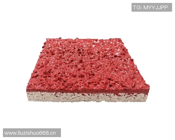 塑胶跑道的优缺点分析及其在现代体育设施中的应用前景